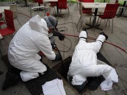 DESAZOLVAR ESCUELAS DF